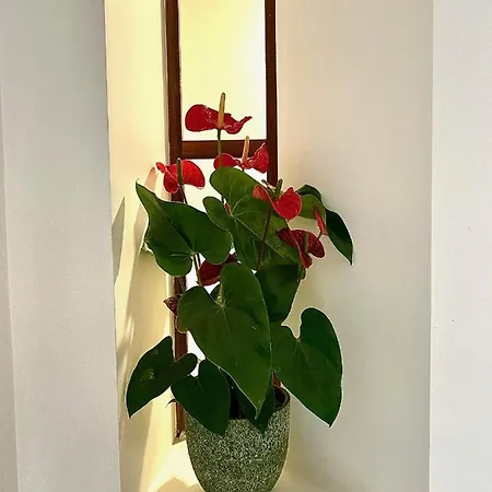 Douro Avenida Bed & Breakfast 3*